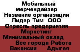 Мобильный мерчендайзер › Название организации ­ Лидер Тим, ООО › Отрасль предприятия ­ Маркетинг › Минимальный оклад ­ 23 000 - Все города Работа » Вакансии   . Адыгея респ.,Адыгейск г.